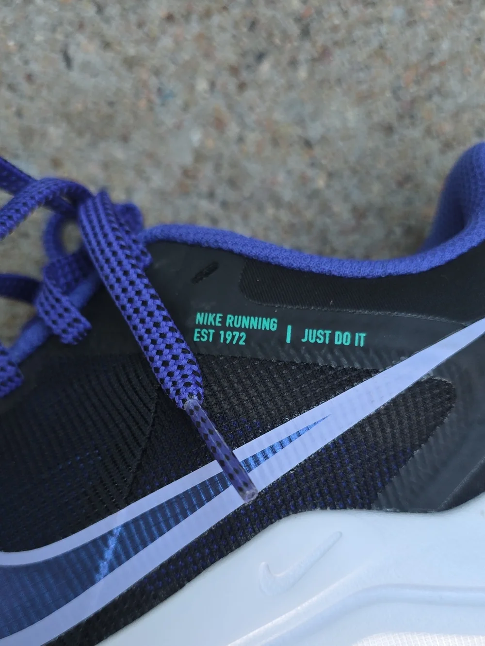 Nike women downshifter